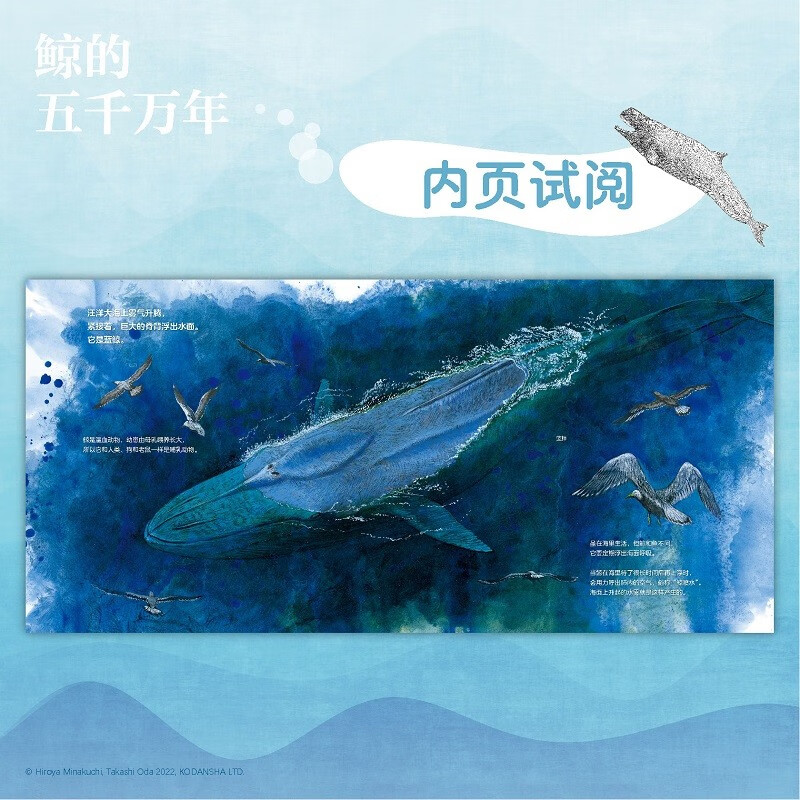 鲸的五千万年（一本跨越五千万年的绘本，走进鲸的世界，探索深海的奥秘，体验奇迹般的进化之旅）小天角轻科普系列详情图