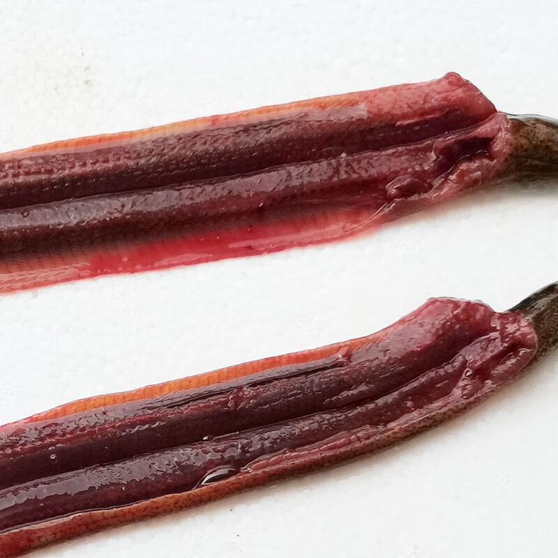 虎钢馋西瓜味的童话拍下现杀活黄鳝鲜活野外鳝鱼长鱼生鳝片去骨去内脏