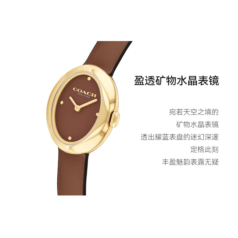 蔻驰(COACH)SAMMY系列 棕色 皮带石英女表14504426 七夕礼物/送礼
