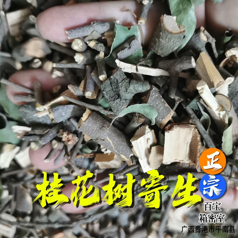 野生桂花树寄生:木犀寄生:岩桂寄生:干品 250g(半斤)干品
