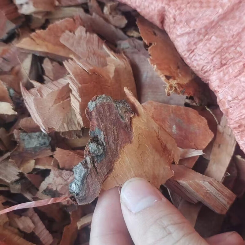 北京同仁堂半枫荷 半边枫荷 阴阳叶 半风荷 枫荷桂5oo克内廷上用 500