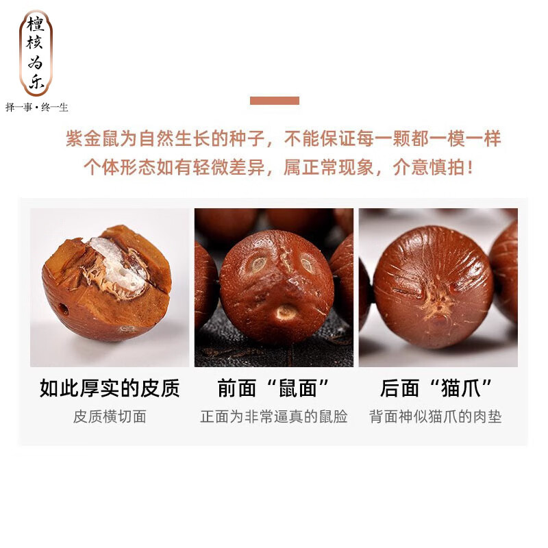 檀核为乐紫金鼠手串招财鼠三眼菩提前鼠后猫高密厚实原籽手链佛珠新年礼物 紫金鼠原籽16mm*14颗 檀核为乐紫金鼠手串招财鼠三眼菩提前鼠后猫高密厚实原籽手链佛珠新年礼物 紫金鼠原籽16mm*14颗