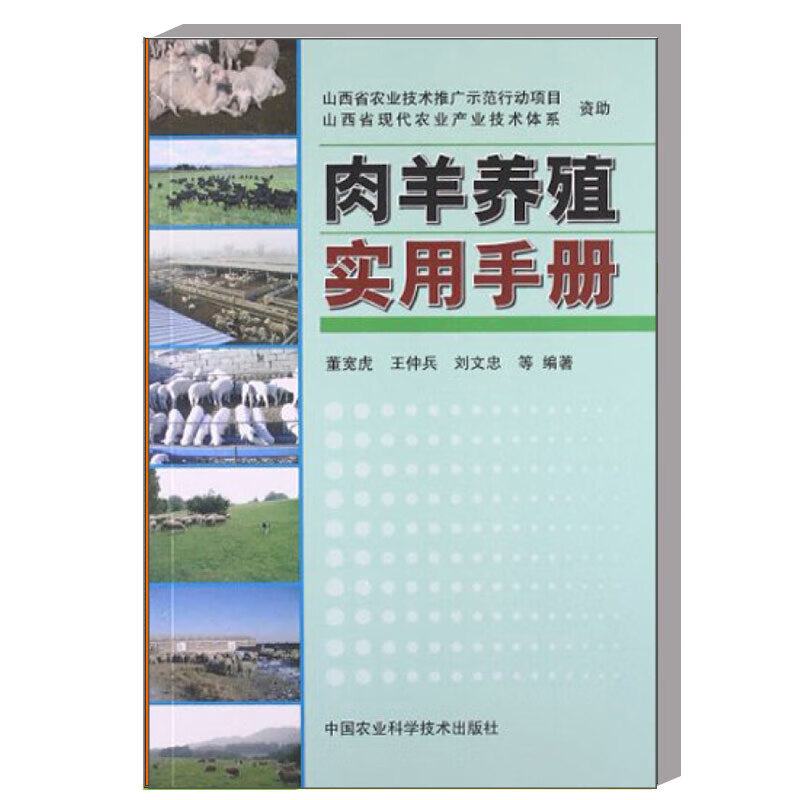 肉羊養殖實用技術 肉羊養殖技術大全養羊書 肉羊選種選育雜交改良繁殖配種飼養育肥管理飼料配置飼草生產加工指導書 肉羊常見疾病預防治療羊舍環境控制技術 禽畜畜牧養殖農技推廣書籍 中國農業科學技術出版社