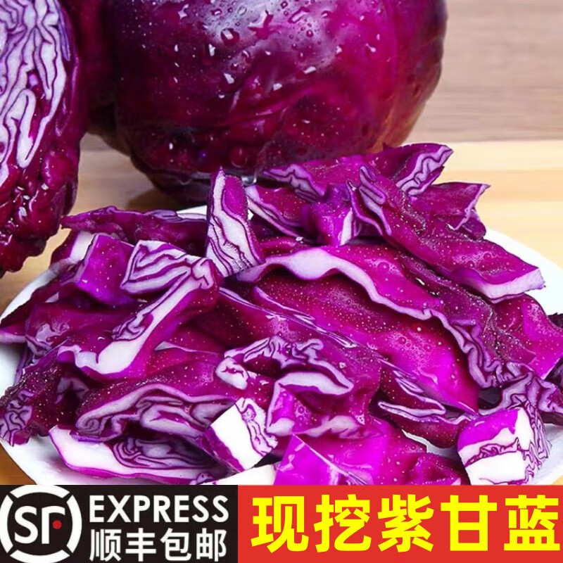 农大姐妹顺丰速运 紫甘蓝 新鲜蔬菜紫包菜球 紫色椰菜卷 卷心菜产地直发 3斤 （净重）3斤
