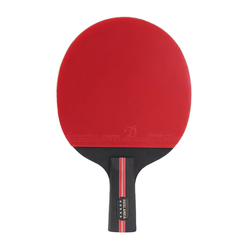 ��˹����ƹ�������������ǳ�ѧ����˫�ĳ��˶�ͯѧ��5��6��������װרҵ�� ���Ǽ�ֱ��2ֻ