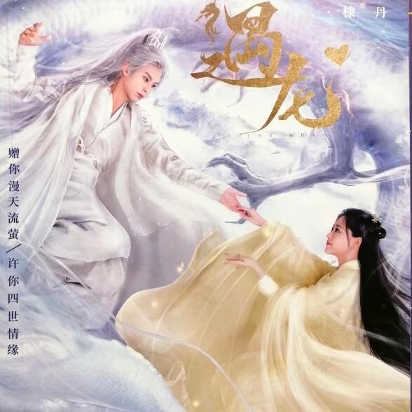 erilles【遇龙】王鹤棣,祝绪丹 古装电视剧 碟片dvd光盘 default