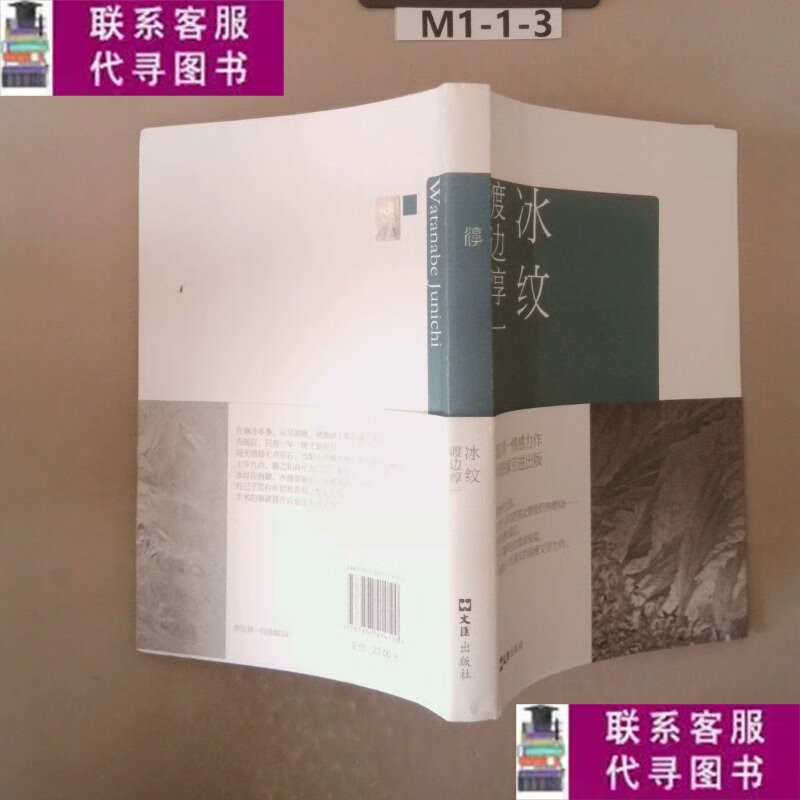 【二手9成新】冰纹 /渡边淳一 文汇出版社