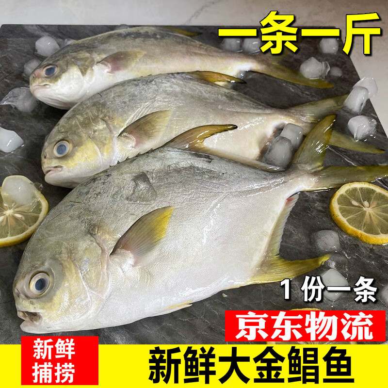 特大新鲜金鲳鱼冷冻镜鱼平鱼鲜活金昌鱼海鲜水产银鲳白鲳鳊鱼