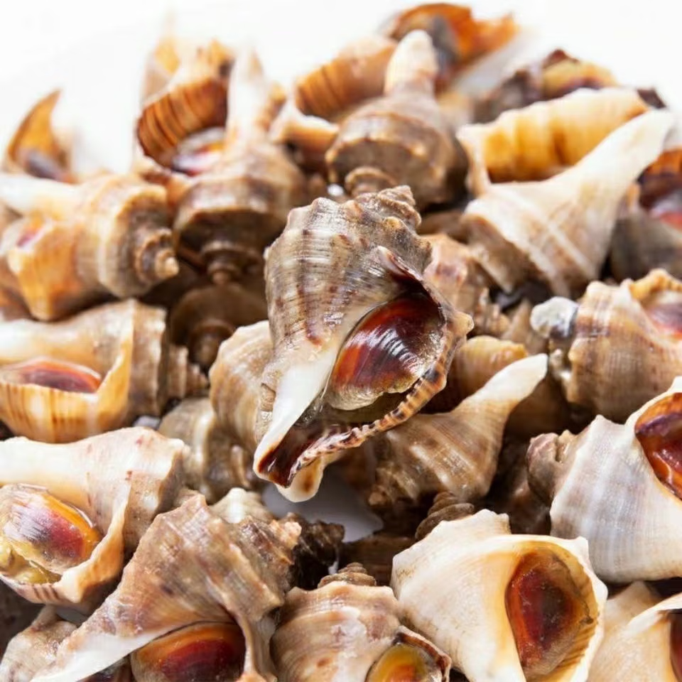 ĪС������ С���� �ʻ�� ����ˮ�� ���ݱ��� Ұ�� ���캣�� ��ѡ���� 0.5kg һ��25������