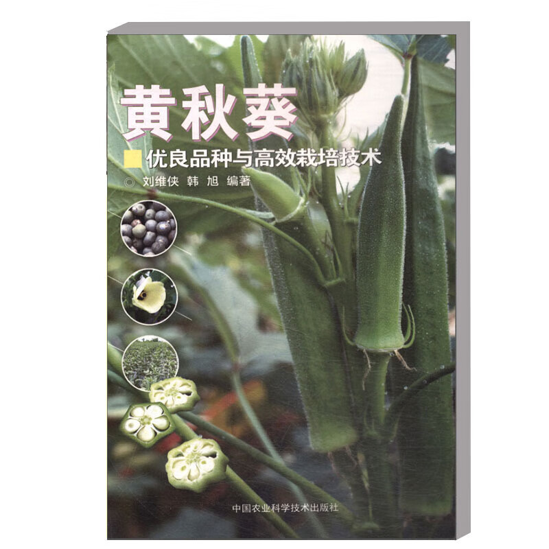 黄秋葵优良品种与高效栽培技术 秋葵种植技术大全书种秋葵书 黄秋葵选