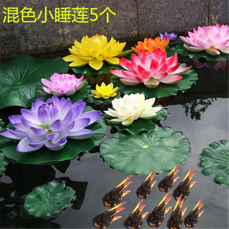 种花迷四季开花睡莲水培植物 迷你睡莲根块种藕荷花莲花室内阳台盆栽