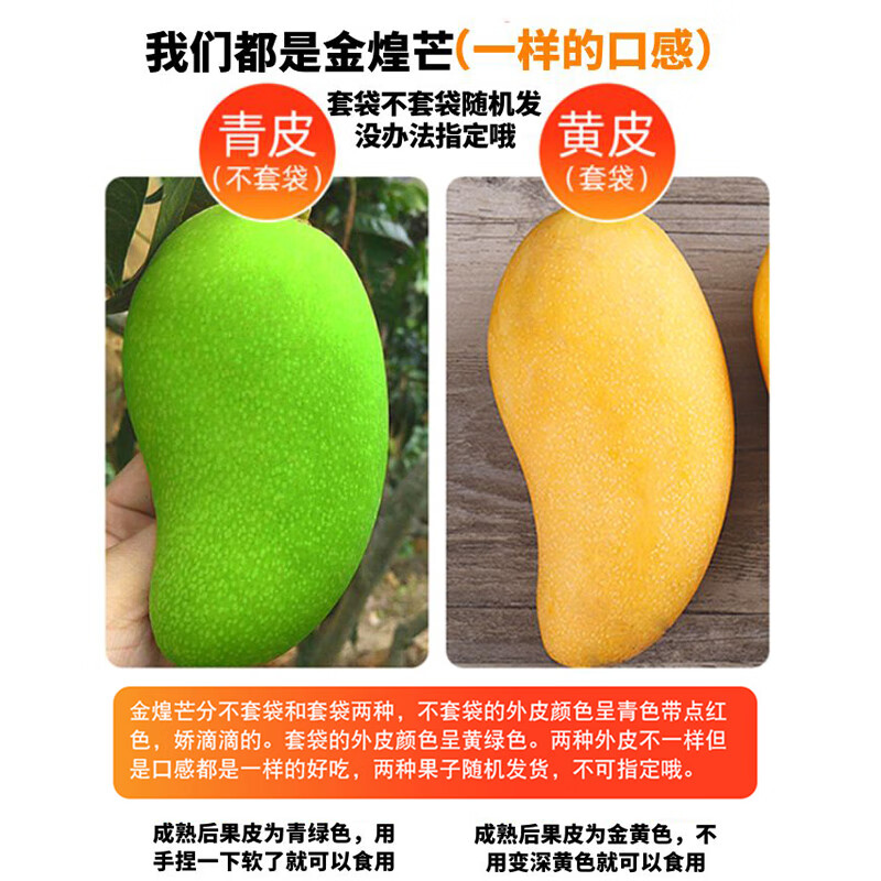 捌零鲜生物语（顺丰JD）正宗广西金煌芒果新鲜水果特大果芒果青皮芒果水果礼盒 净9斤精品大果（精选）