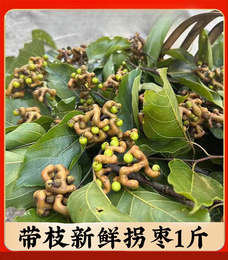 拐枣新鲜生吃云南拐枣干鸡爪梨金钩子歪枣野生万寿果泡酒功效捌枣02