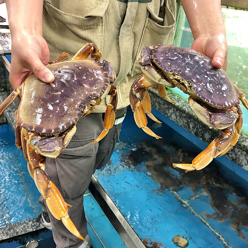 加拿大珍宝蟹冰鲜生冻新鲜活冻大螃蟹面包蟹太子蟹中秋送礼礼品 1.