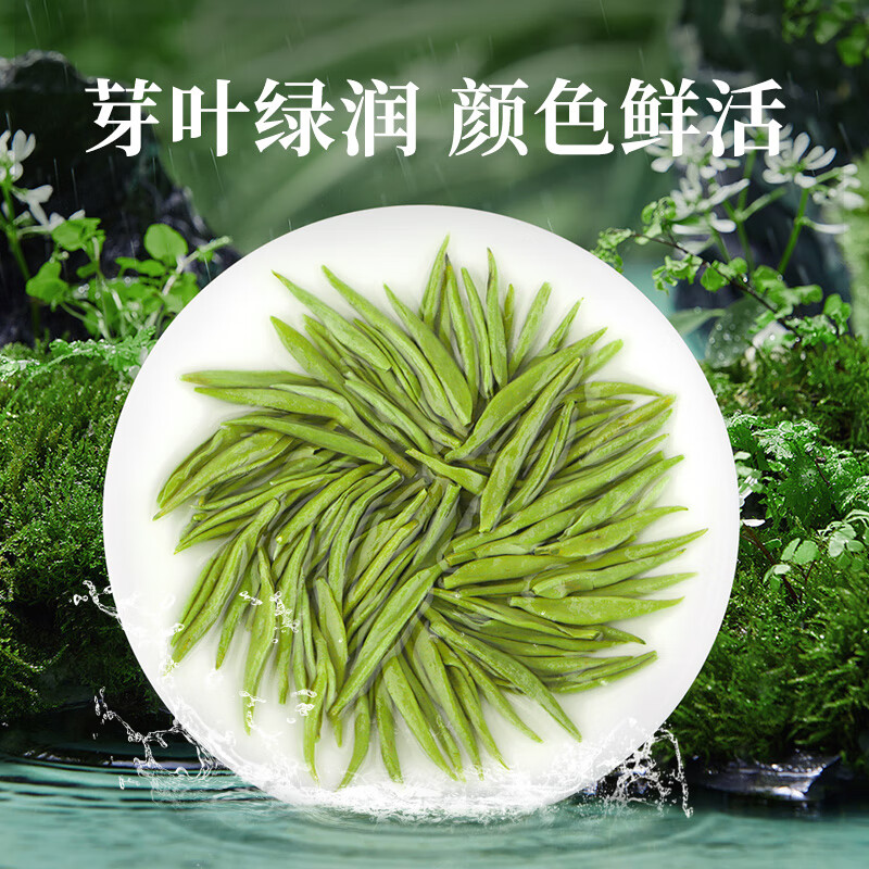 骏江南碧螺春 明前绿茶