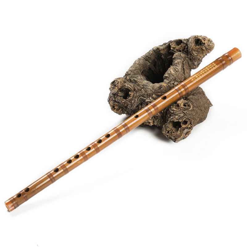 相思鸟(lovebird)笛子初学竹笛入门精致乐器演奏笛子笛子f 调学生