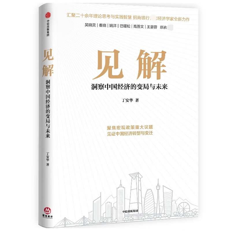 官方正版 见解 丁安华 9787521736786 中信出版社 2021-12-01