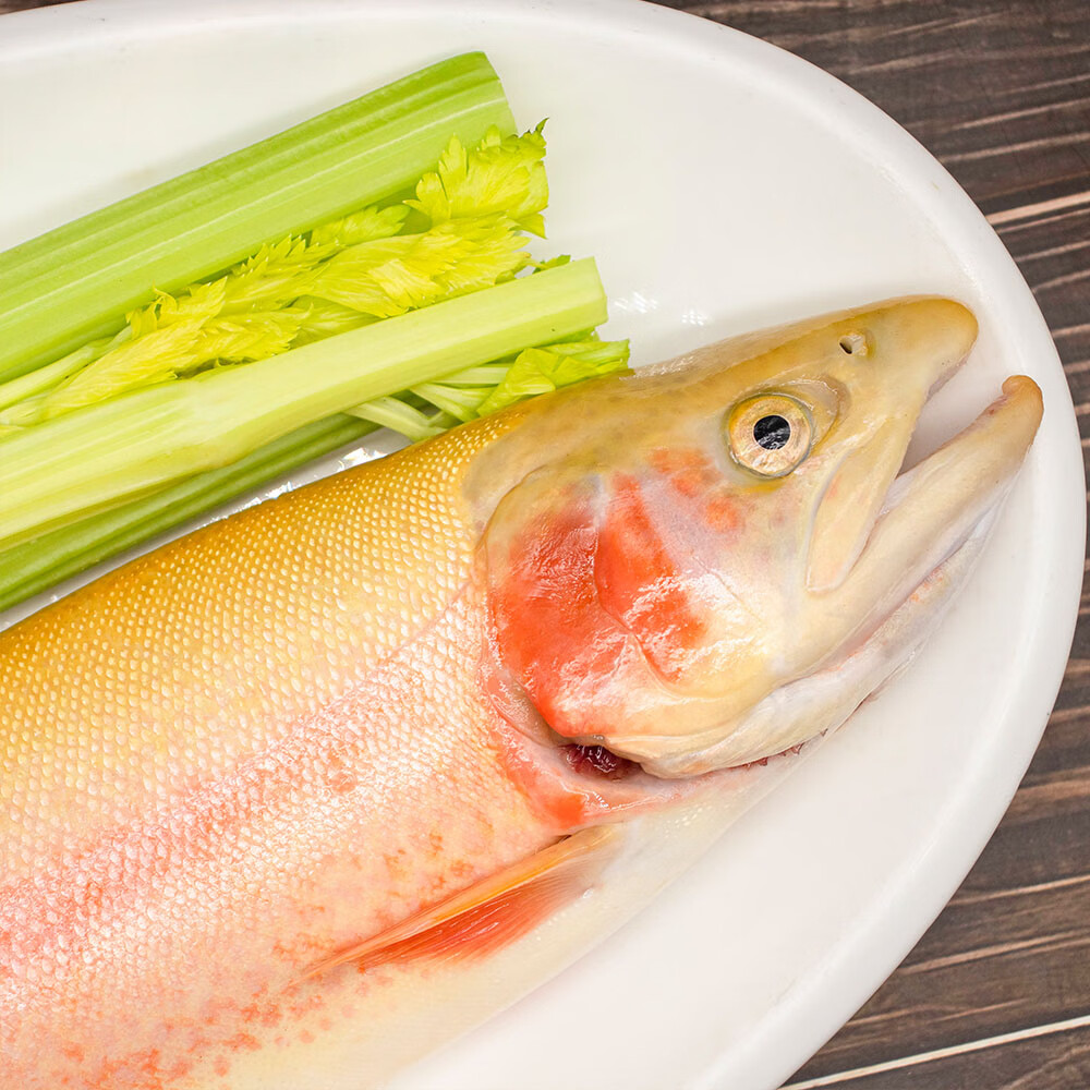 5-2斤【不可刺身】