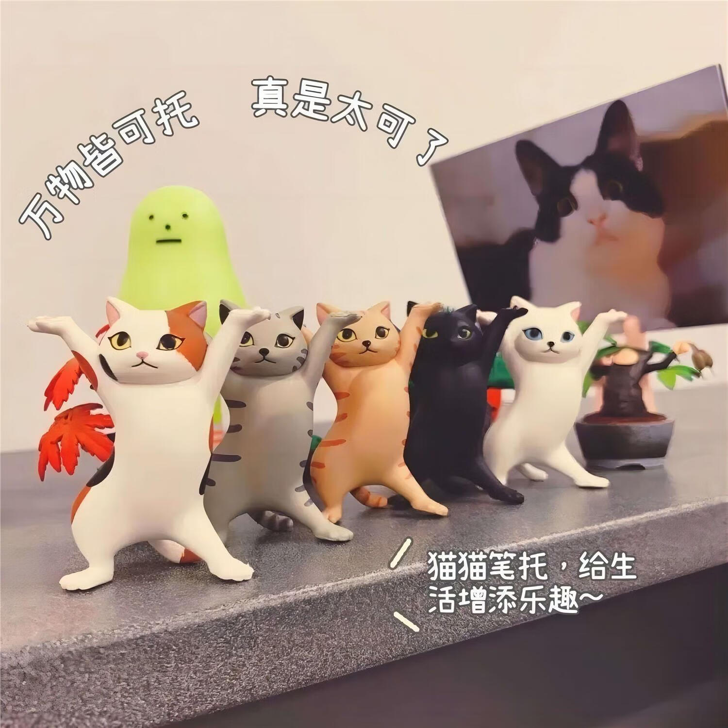 小猫托举摆件 瓜皮熊大网红妖娆猫咪笔架文具喵摆件托举猫小猫举 5只