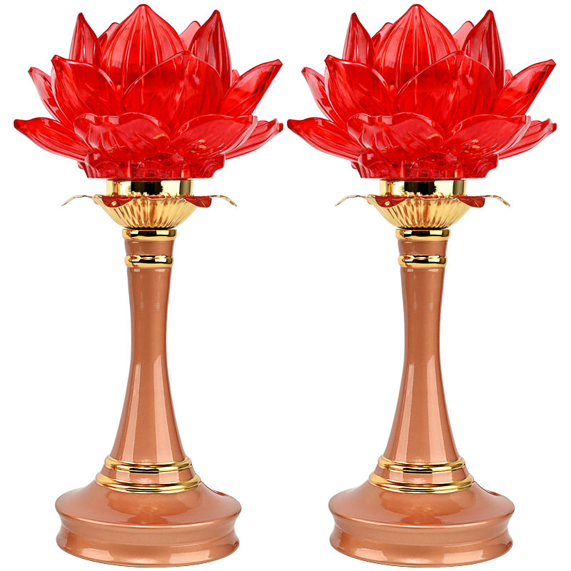 梵澤福供佛燈合金蓮花燈led長明燈家用佛前供燈佛燈插電財神供燈 多彩款 9寸一對