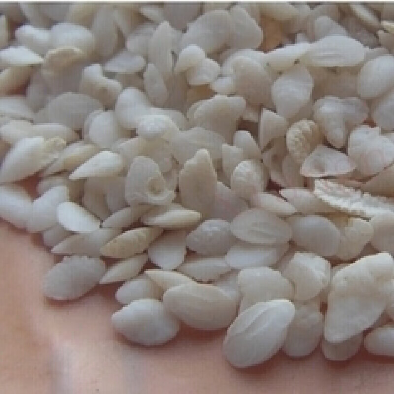 佑康泰【佑康泰】滋补养生 鱼首石 鱼枕骨500克