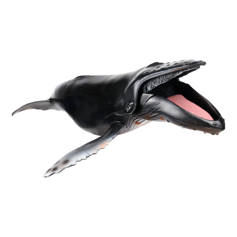 Oenux实心仿真大白鲨鲨鱼海洋生物模型巨齿鲨鲸鲨虎鲨蓝鲸儿童玩具摆件 M-434座头鲸