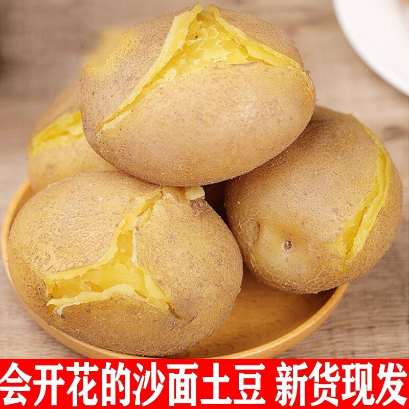 甘肃定西土豆马铃薯2025年新挖粉糯沙面高山洋芋黄心黄皮定西特产 净重9斤中果 每颗3-5两左右