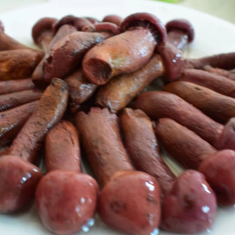 南美豹东北红蘑菇松伞红松蘑鸡炖蘑菇粗腿切新鲜冷冻货500克 小丁一斤