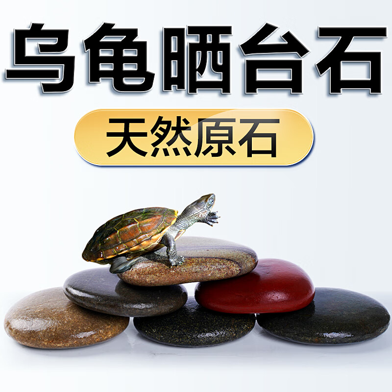 疯狂石头乌龟晒台石头 鱼缸溪流造景爬台 扁平晒台石【3块颜色随机】