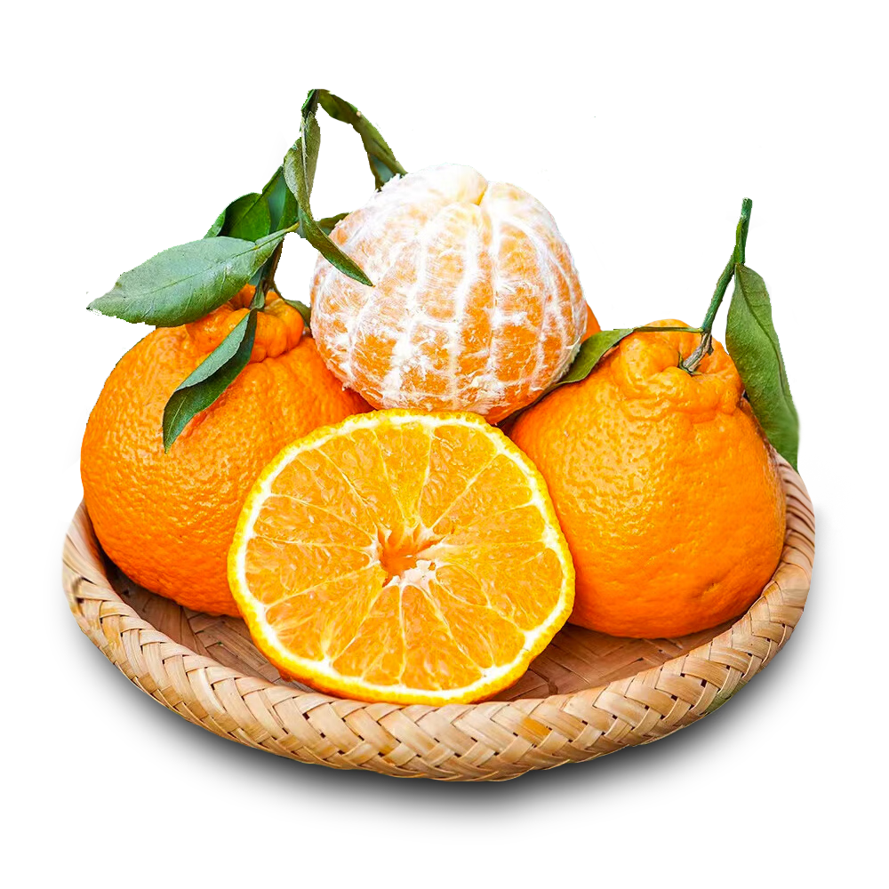 京觅四川不知火丑橘柑橘新鲜水果4.5-5斤大果80mm+源头直发包邮