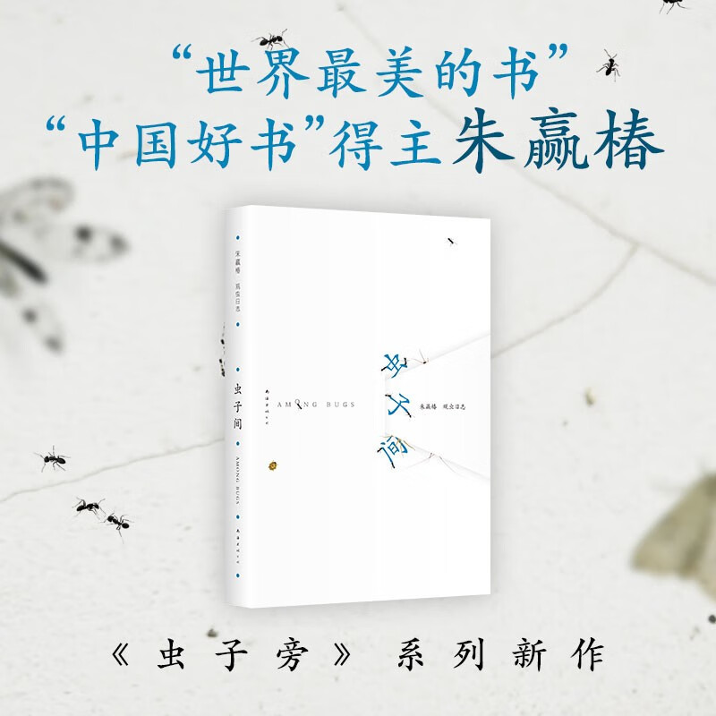 虫子间 无穷小亮推荐 朱赢椿持续9年的观虫日志 蹲下来 让美和有趣变得具体