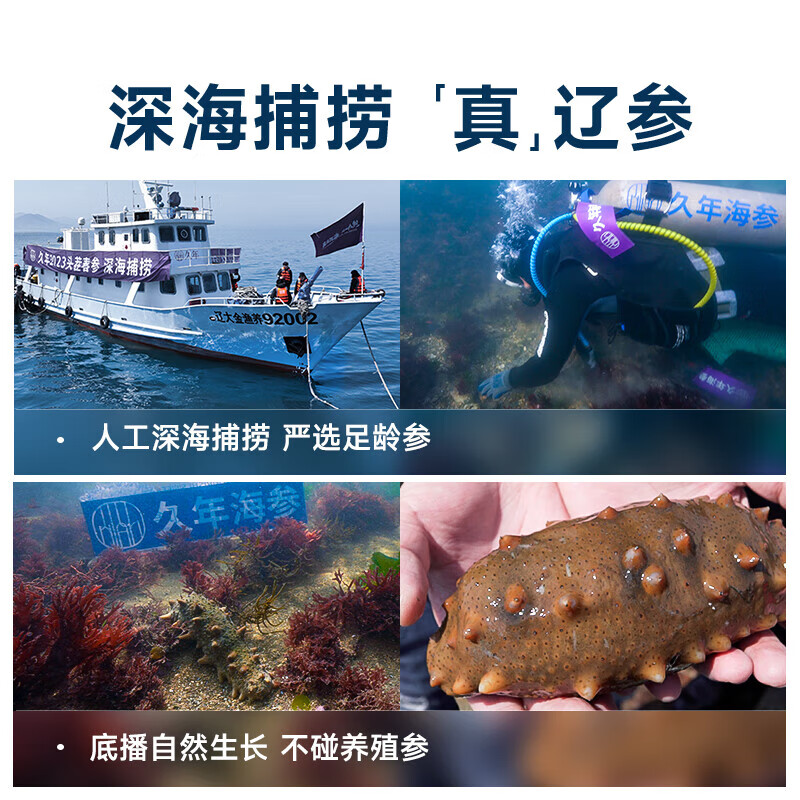 久年 大连即食海参冷冻辽刺参生鲜海鲜水产 中秋节日礼品盒送礼亲戚 1000g 32-36头 80%固形物