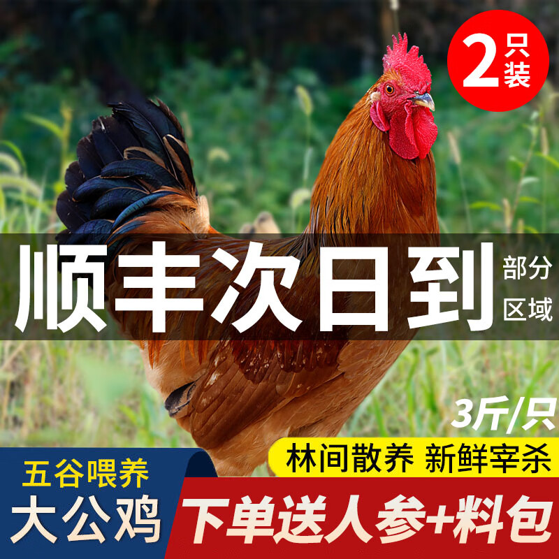 ���ڲ�����������ɢ�������󹫼��ƽ���źڷ��鼦��ɱ����Ӫ�����Ɀ�����ߵؼ��� �ƽŹ�����6��/2ֻ�������+�˲Σ� 66.6Ԫ