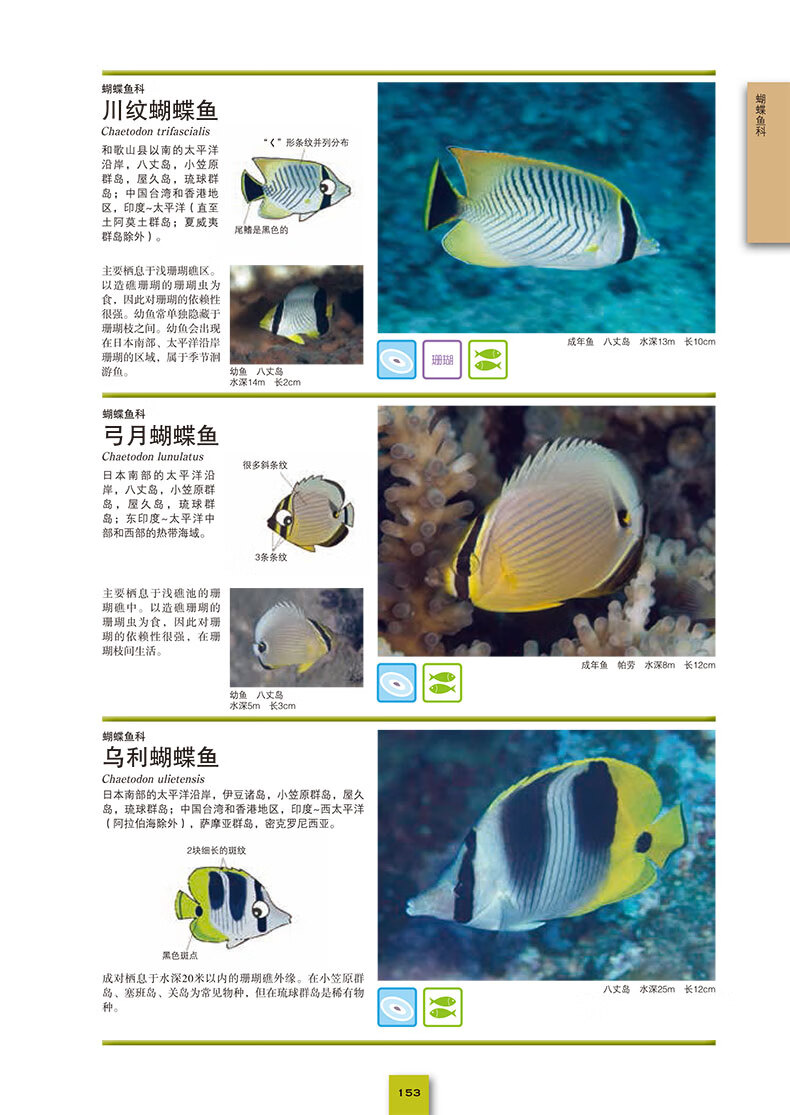 海水鱼大图鉴1000种深海鱼成长图鉴大全太平洋海洋动物4k图鉴书海洋