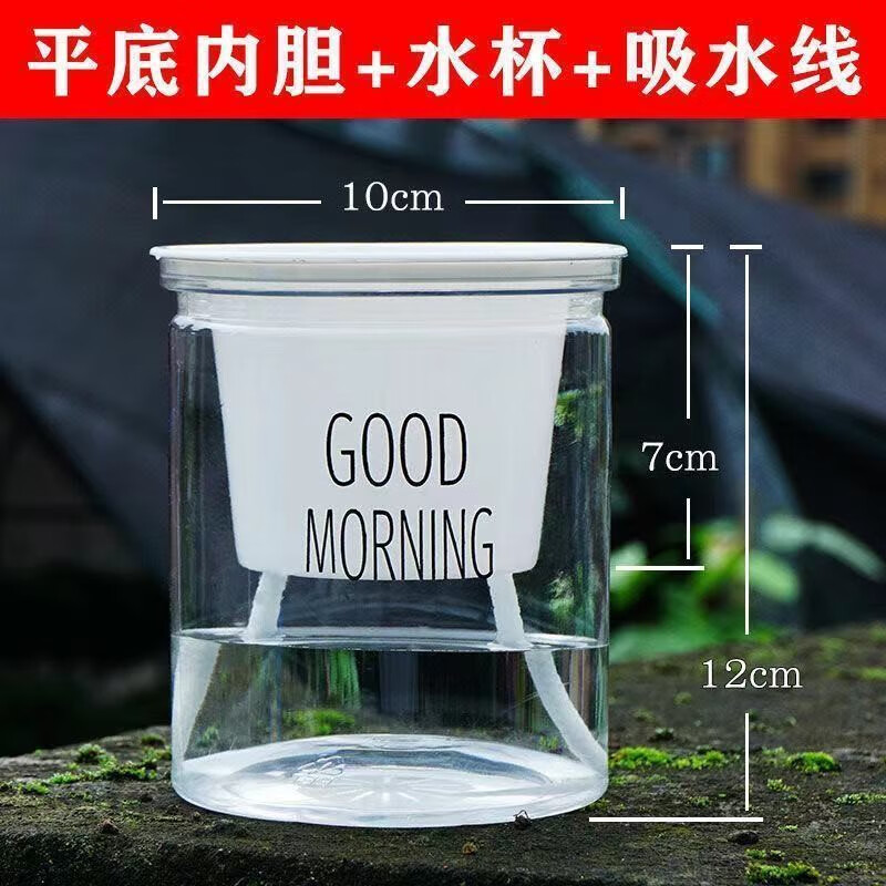 唯友（WEIYOU）塑料水培透明懶人自動吸水早安盆綠蘿北歐簡約吊蘭綠植多肉花盆 平底內(nèi)槽+棉繩+透明外盆 塑料 x 1個盆【滿5個 加送1個】