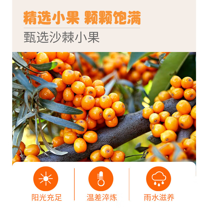 酷发内蒙古沙棘汁 饮料300ml*6瓶 300mL*6瓶