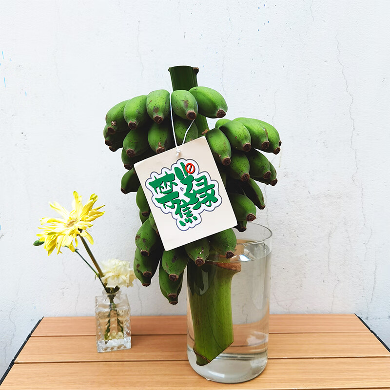 �����ӽ�ֹ���̹�������ˮ���㽶ʳ�ù��ʹ��˾ܾ������㽶 ����ˮ�� 7- 9��