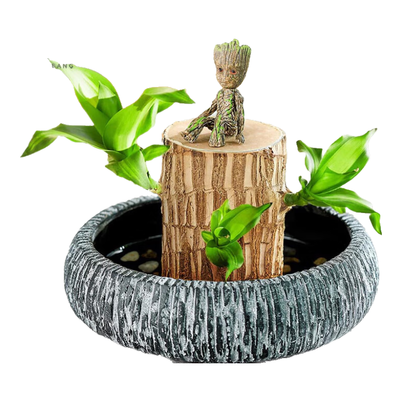 ���а�ˮ������ľ��ֲ���Ի��ܰ���ľ����ɽ��+��³��+����ʯ��Դͷֱ��