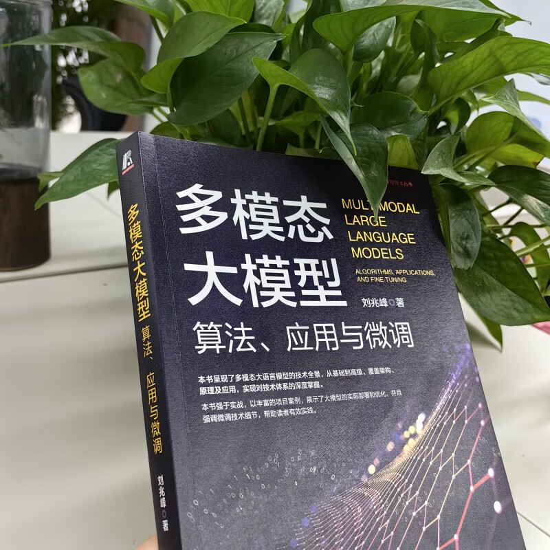 多模态大模型：算法、应用与微调