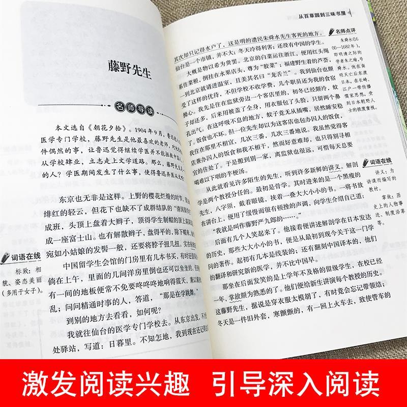 【严选】从百草园到三味书屋鲁迅原著青少年课外阅读小说 单本【从百草园到三味书屋】正版 无规格