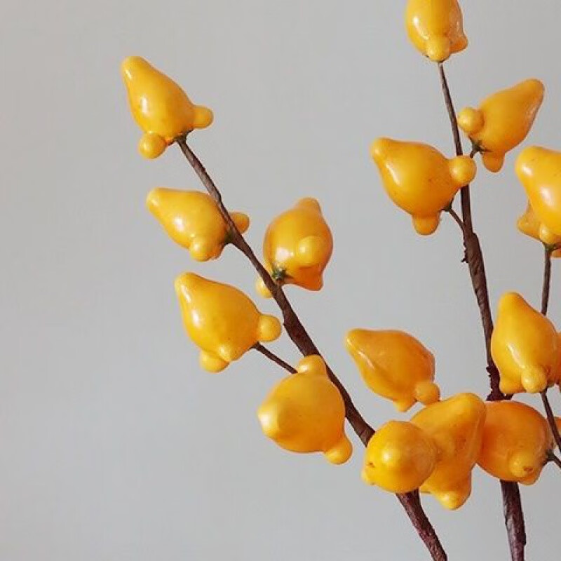 琉滋五代同堂黄金果仿真果仿真花客厅果插花假花摆件年宵花五代同堂新