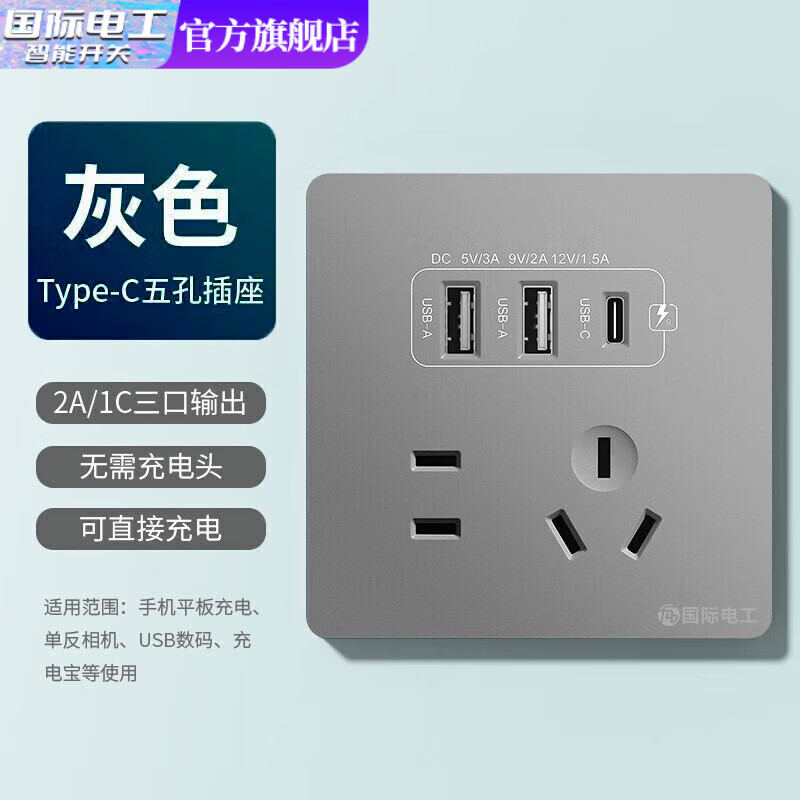 国际电工双USB插座面板20W快充墙壁无需充电头Type-c