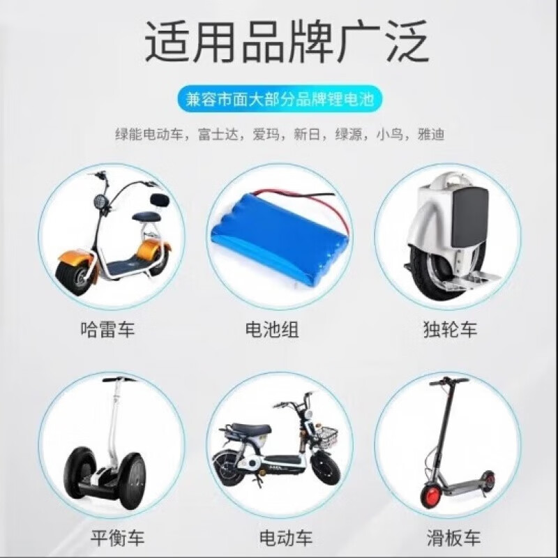 适用星恒锂电电动车电瓶车锂电池充电器48V2A48V3A输出54.6V3.0A 48V2A(锂电输出54.6V2.0A) 品字头