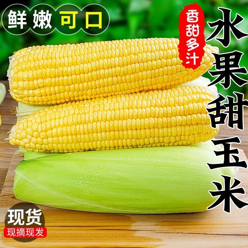 农根蔬云南水果玉米金银双色新鲜2026黄金甜玉米鲜嫩爆汁孕妇生吃早餐 5斤净重4.5斤(单根200g+) 15.99元 农根蔬云南水果玉米金银双色新鲜2026黄金甜玉米鲜嫩爆汁孕妇生吃早餐 5斤净重4.5斤(单根200g+) 15.99元