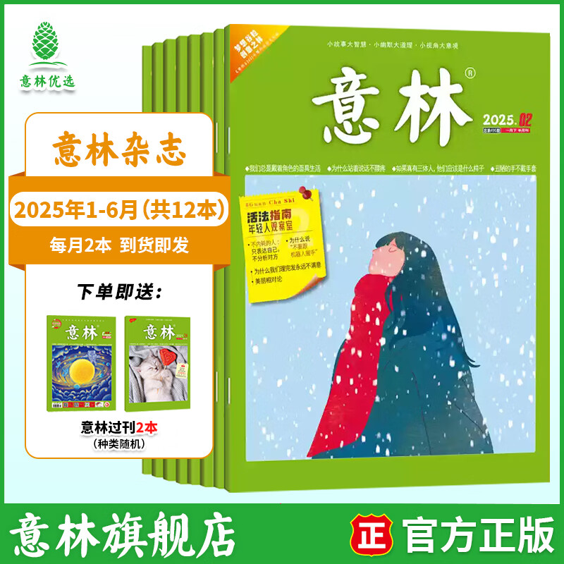 意林杂志 2026年期刊全年订阅 25/24年意林1-12月杂志 初高中生课外阅读写作积累期刊杂志下单送帆布袋 【半年期刊】意林杂志25年1-6月（12本）
