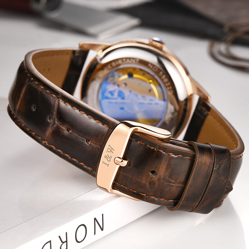 爱沃驰手表男士瑞士品牌夜光机械表进口机芯全自动男士品牌手表十大名表 升级版-玫灰皮带【进口机芯】免费刻字