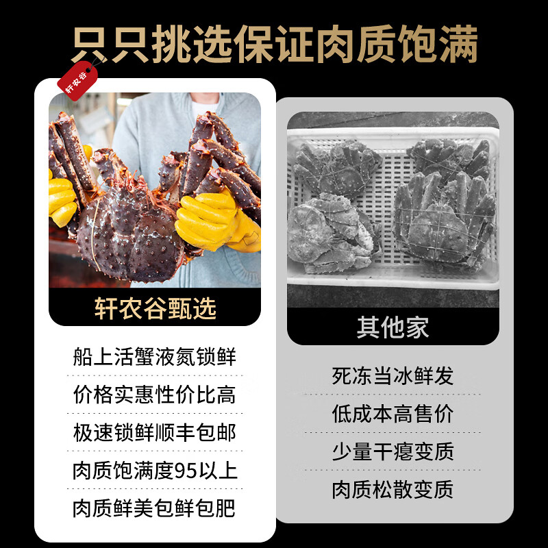 轩农谷鲜活俄罗斯帝王蟹新鲜冷冻海鲜皇帝蟹海鲜蟹类生鲜螃蟹帝皇蟹 【礼盒】特大帝王蟹8-9斤/只