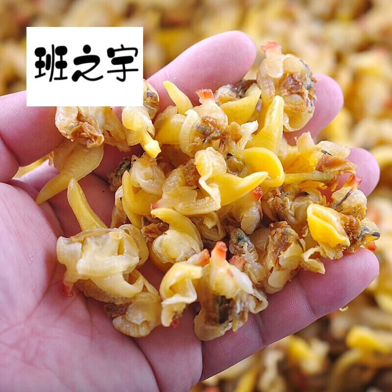虎钢馋丹东大黄蚬子干250克 东北特产蛤蜊肉干去沙海鲜干货花甲