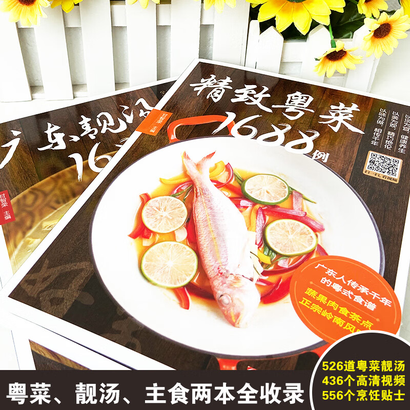 家常菜广东菜谱全套美食全2册广东靓汤1688例 粤菜1688例粤菜菜谱大全