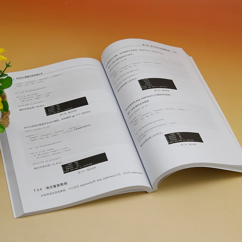 Python数据分析快速上手